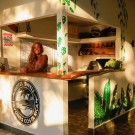 Hotel Swell Pavones