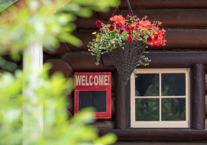 Expedition Pine Cabin view